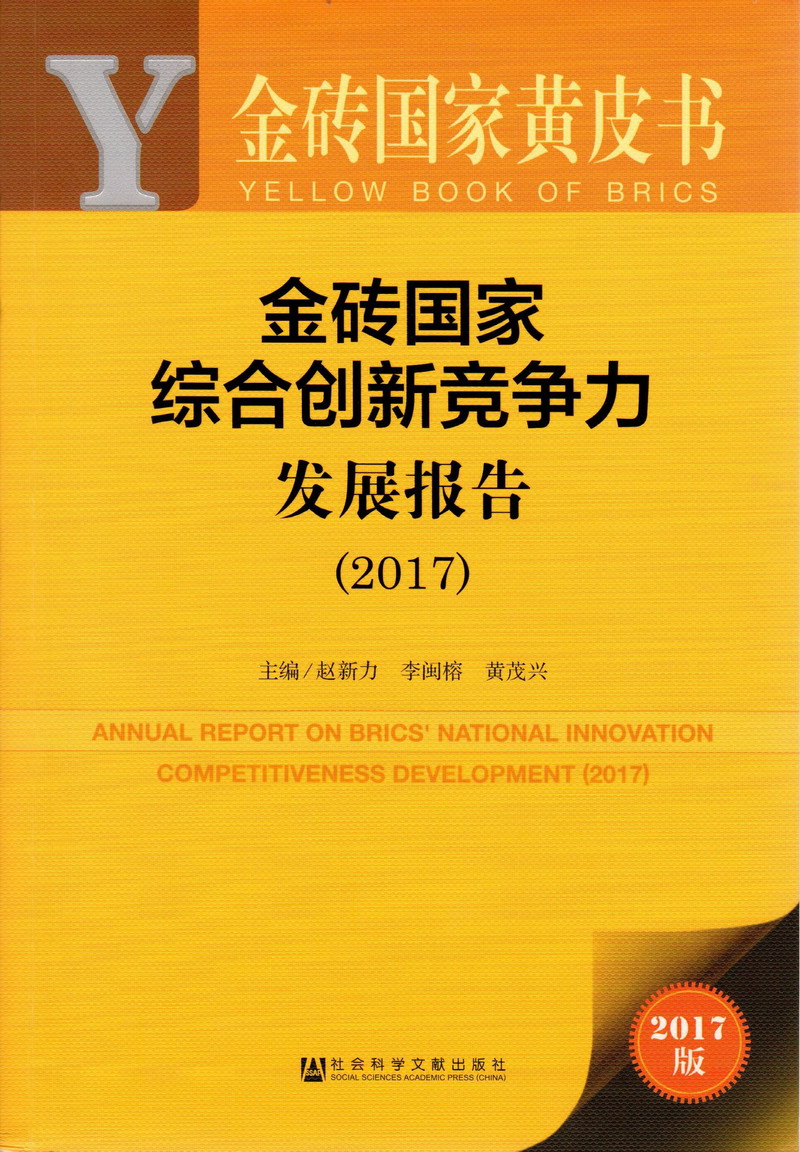 艹逼视频免费观看高清金砖国家综合创新竞争力发展报告（2017）